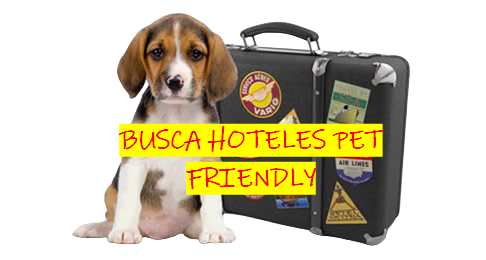 Hoteles Pet Friendly